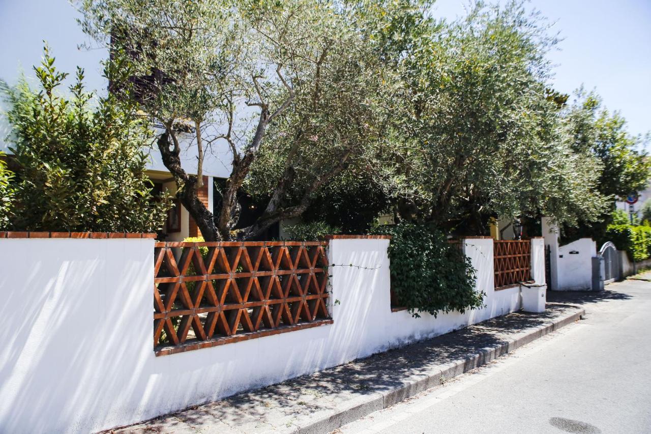 فندق Enzo'S House لوكا المظهر الخارجي الصورة